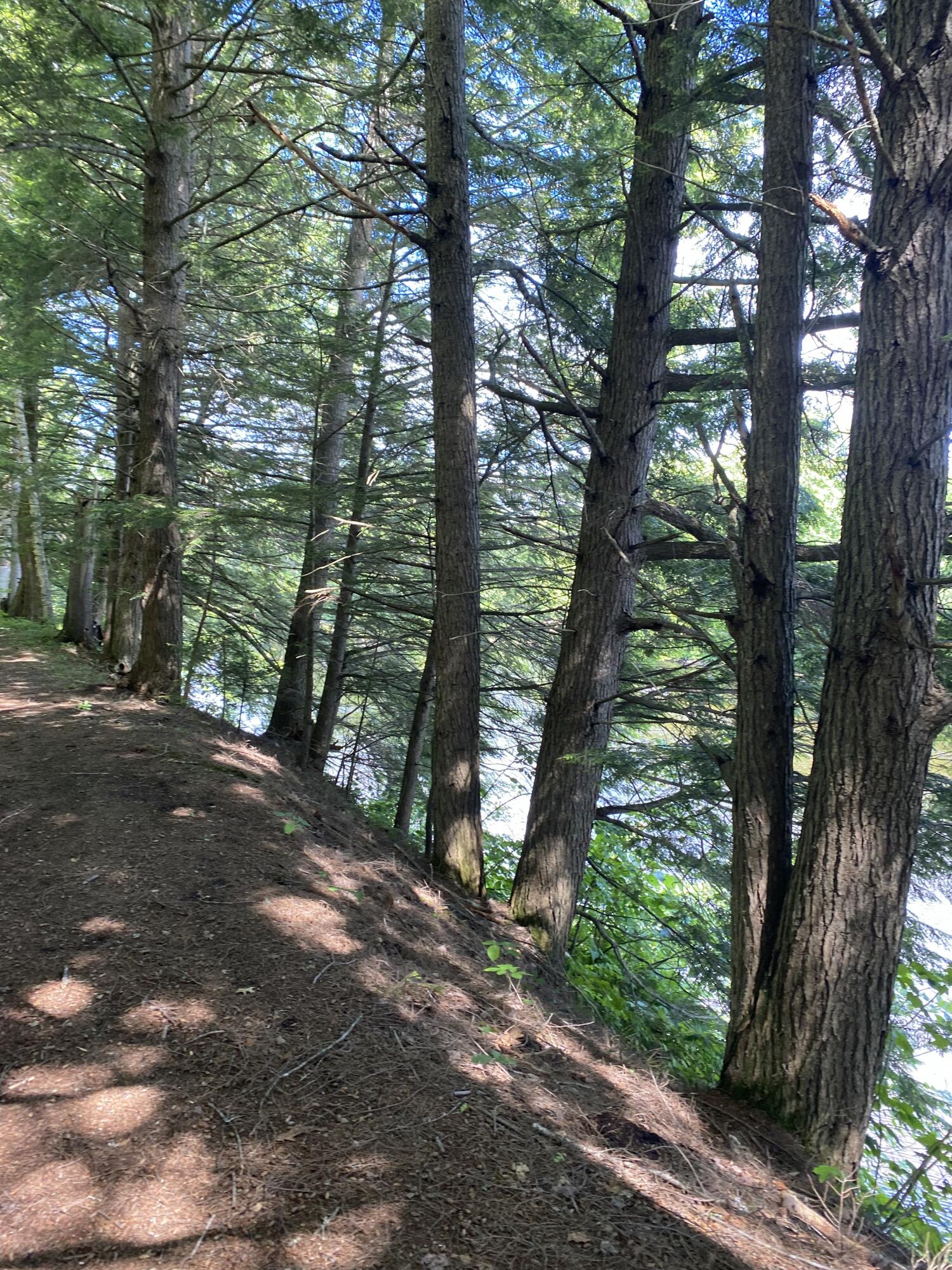 Tbd Spruce Drive Anson ME 04911