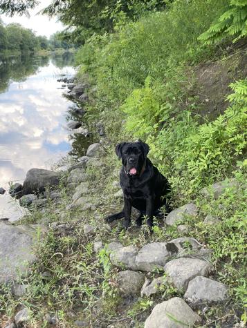 Tbd Spruce Drive Anson ME 04911