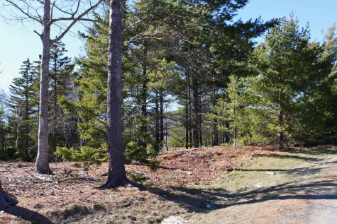 Lot 21 Hamilton Hill Way Bar Harbor ME 04609