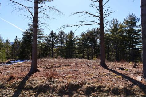 Lot 21 Hamilton Hill Way Bar Harbor ME 04609