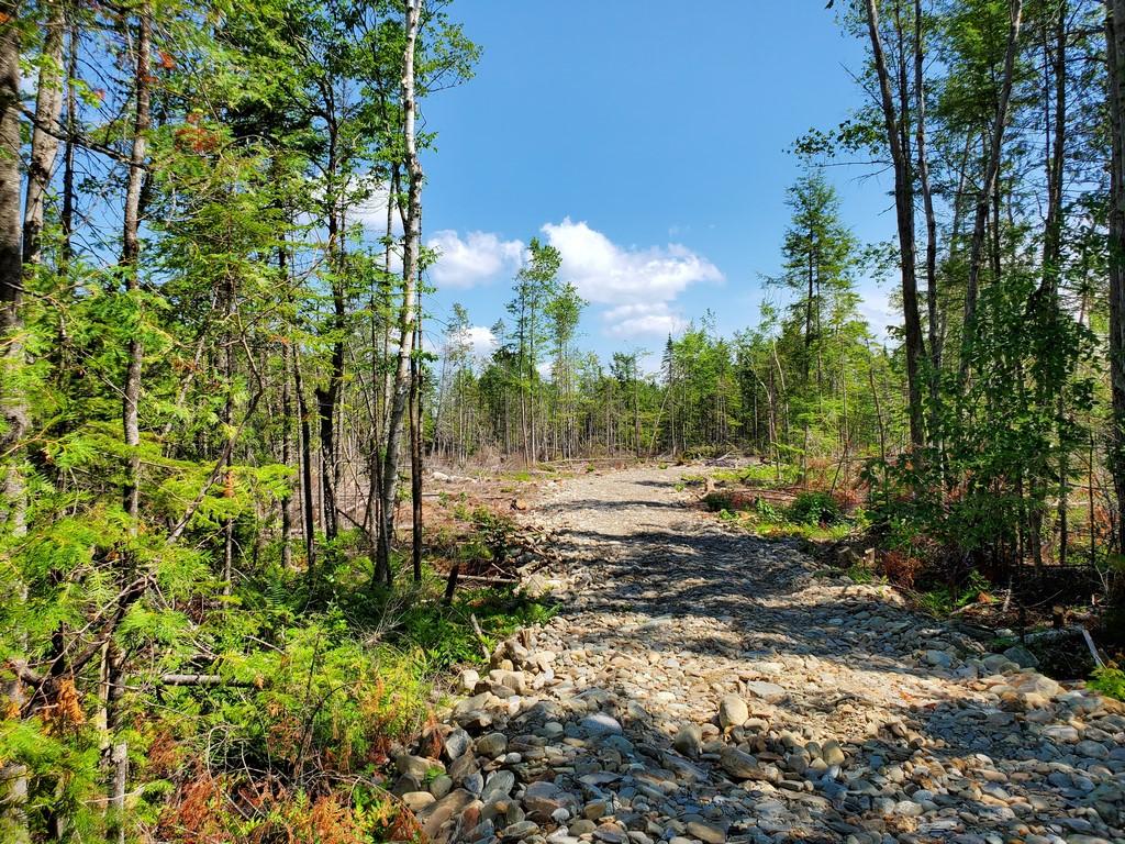 Lot C Stillwater Avenue Orono, ME