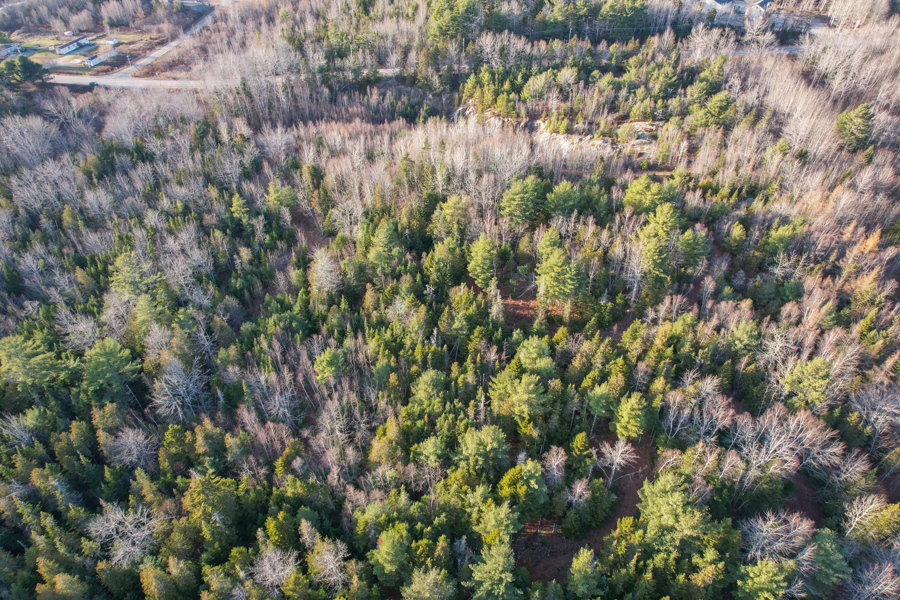 M 220 L 42 Route 182 Hancock ME 04640