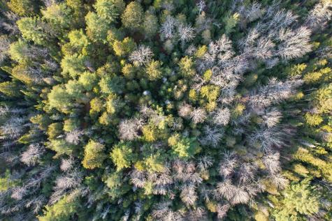 M 220 L 42 Route 182 Hancock ME 04640