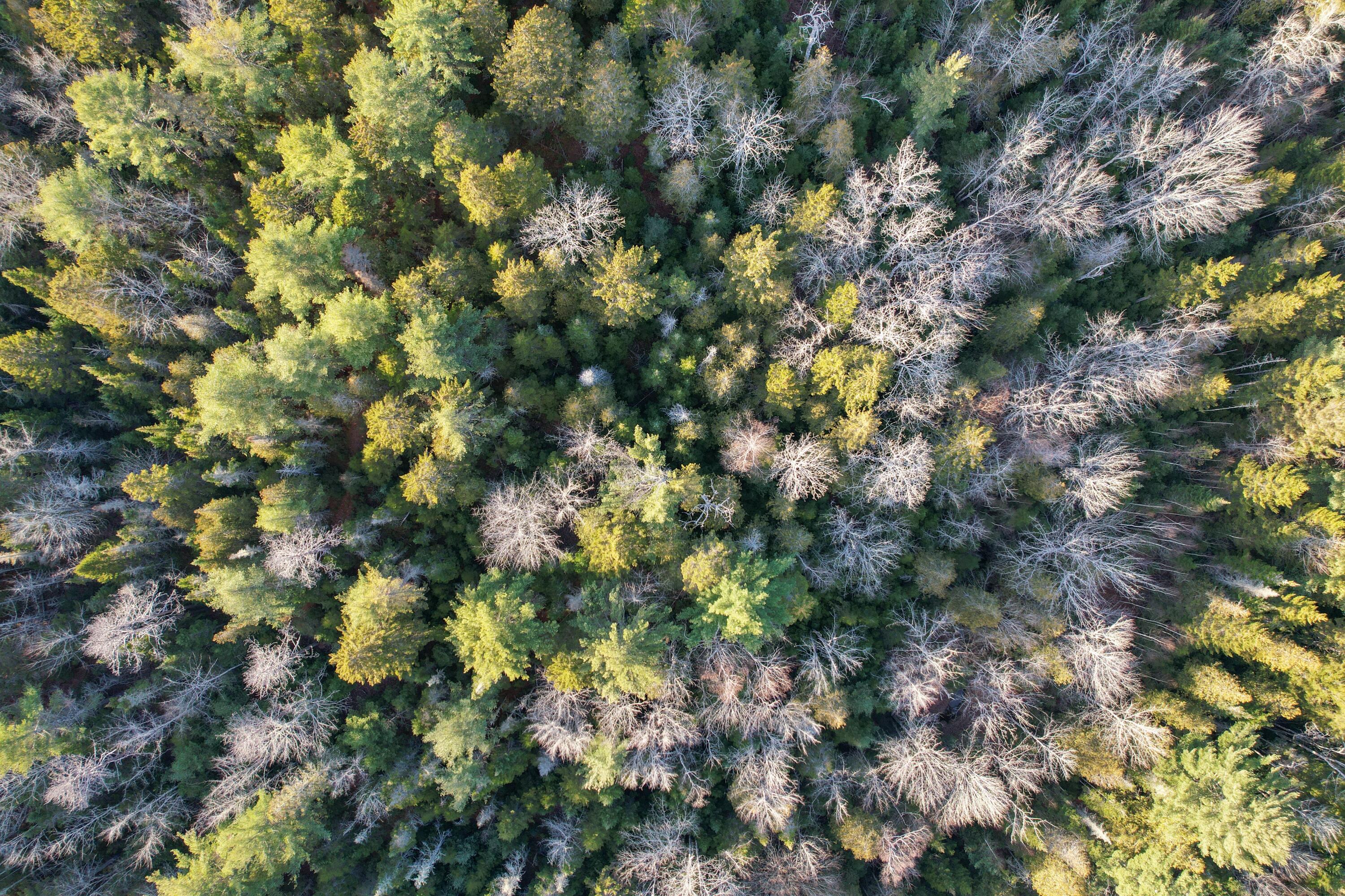 M 220 L 42 Route 182 Hancock ME 04640