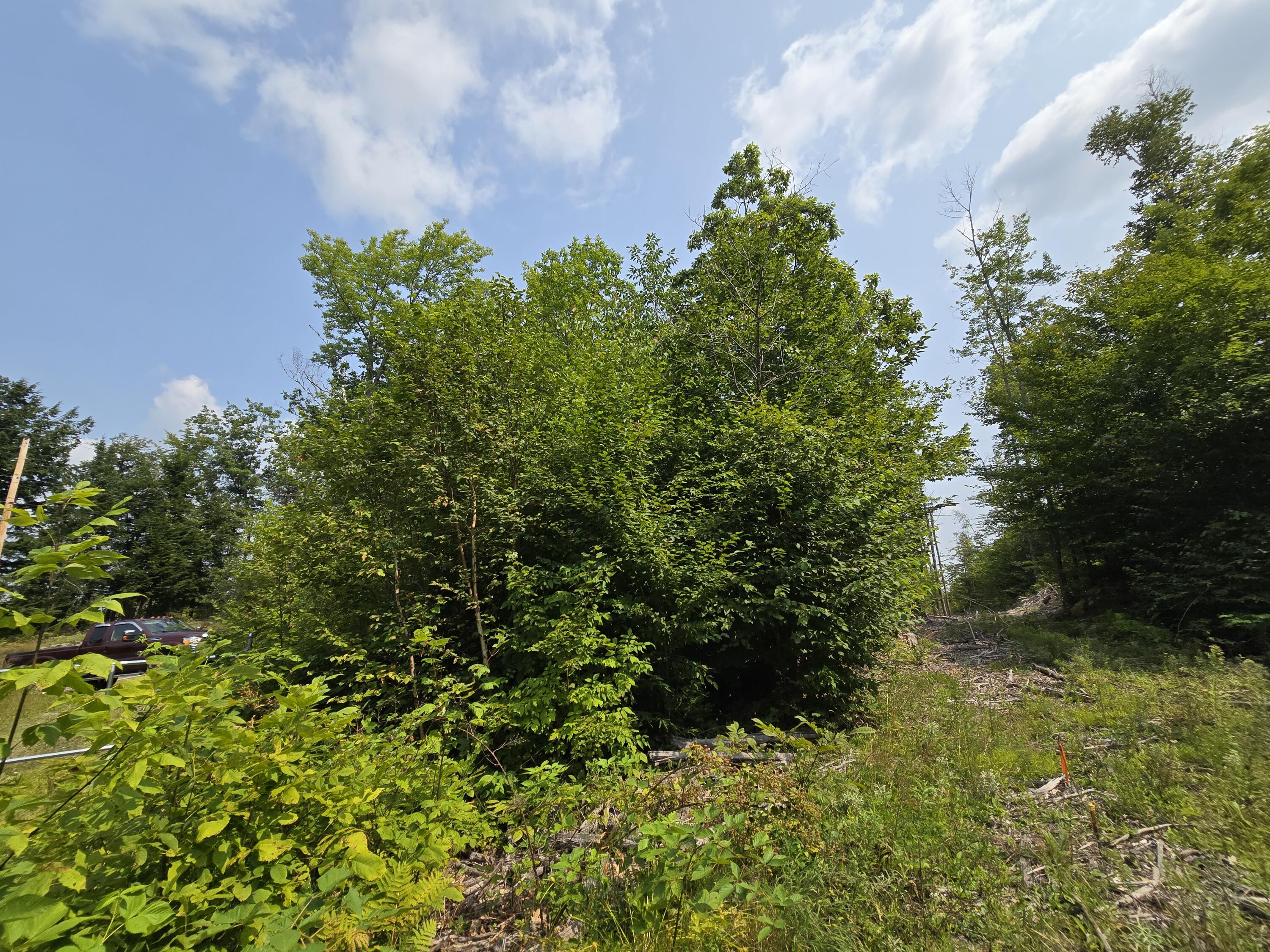LOT9 Bear Brook Subdivision Sebec ME 04481
