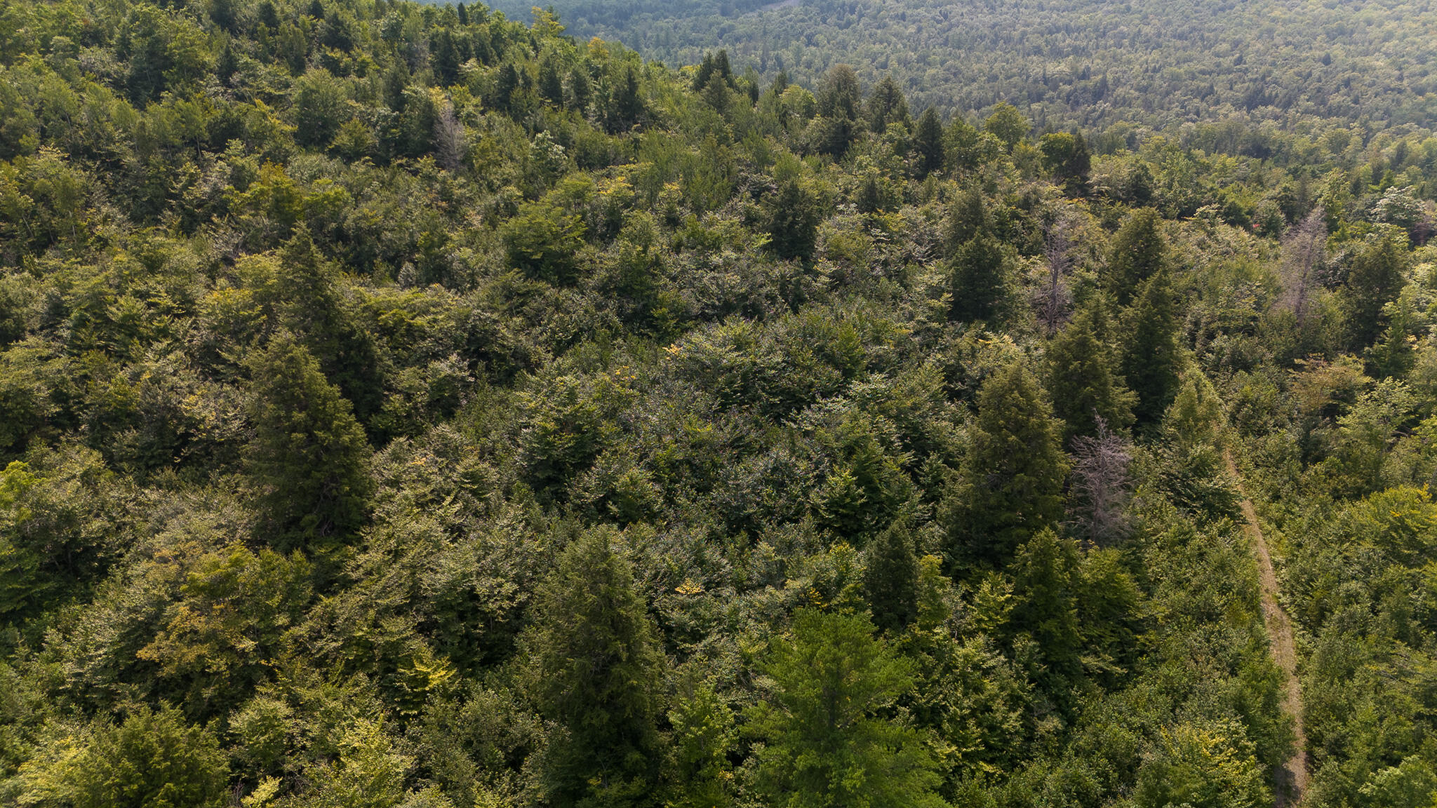 LOT9 Bear Brook Subdivision Sebec ME 04481