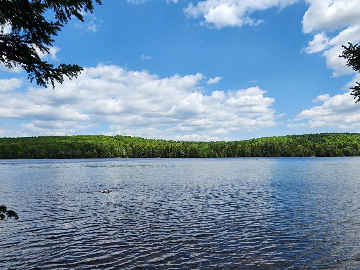 Lot A Deer Point Road Robbinston ME 04671