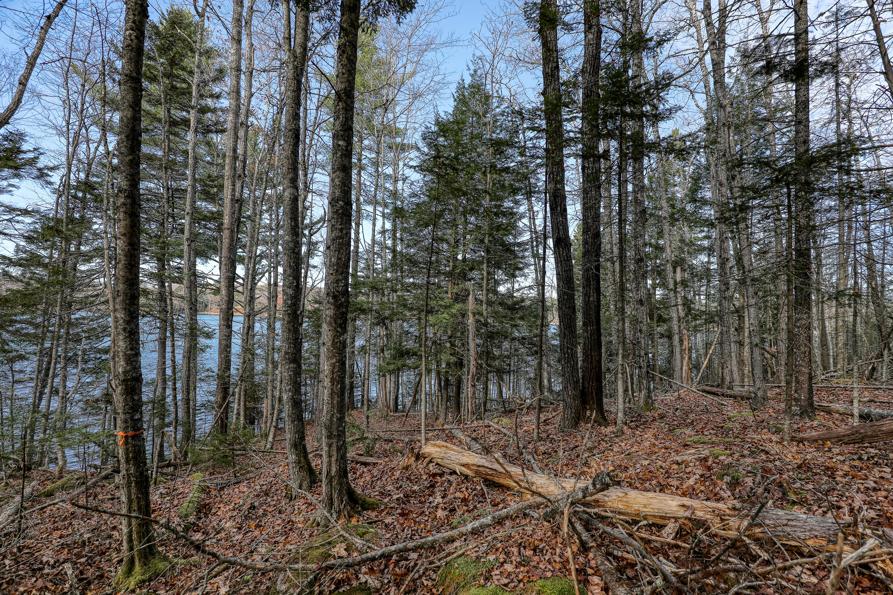 005 Newbury Neck Road Surry ME 04684