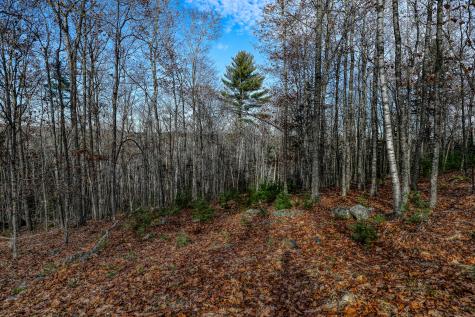 005 Newbury Neck Road Surry ME 04684