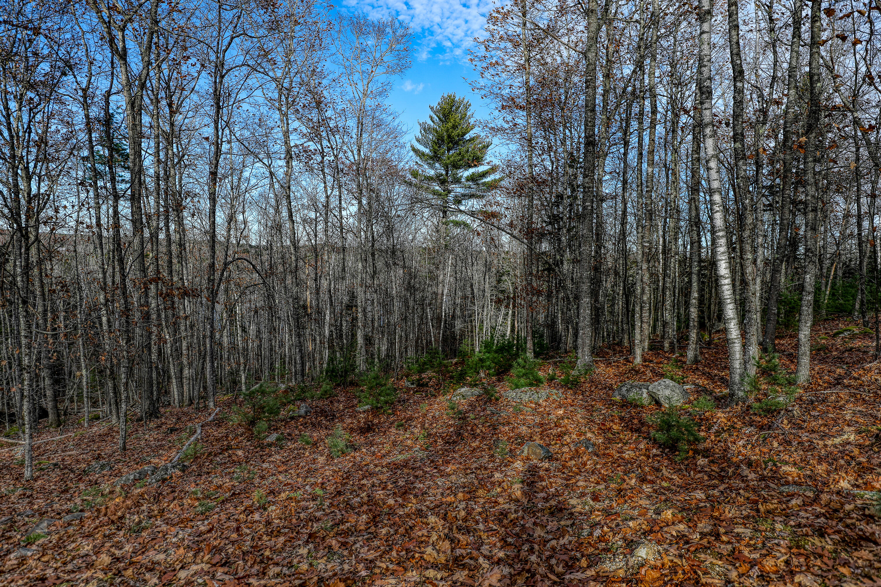 005 Newbury Neck Road Surry ME 04684