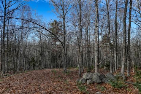 005 Newbury Neck Road Surry ME 04684