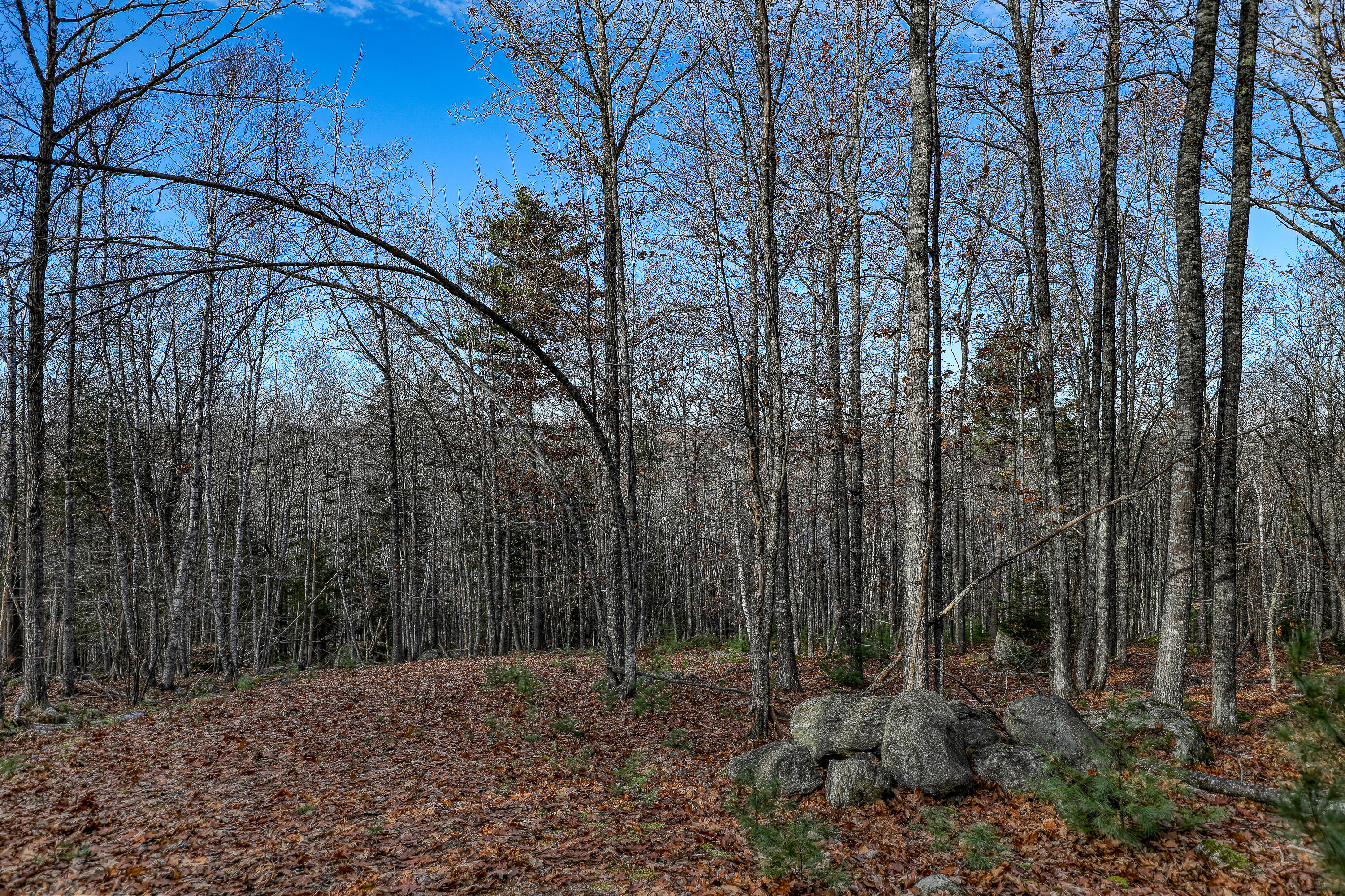 005 Newbury Neck Road Surry ME 04684