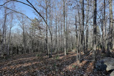 005 Newbury Neck Road Surry ME 04684