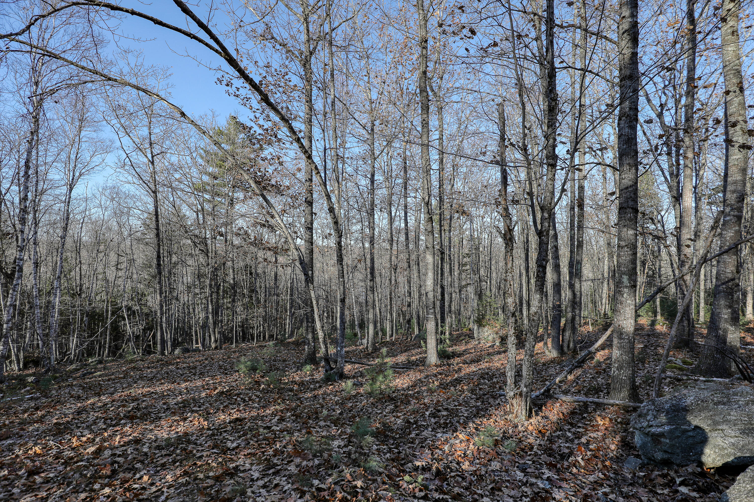 005 Newbury Neck Road Surry ME 04684