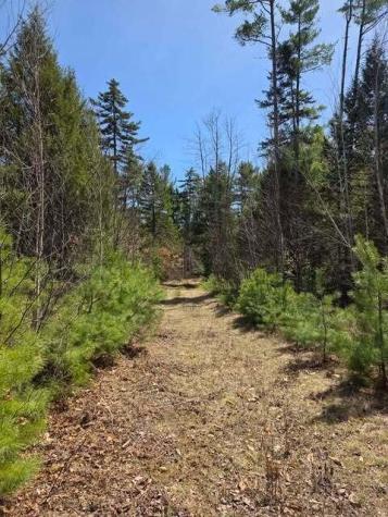 Lot 26-1 Old County Road West Paris ME 04289