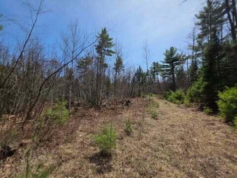 Lot 26-1 Old County Road West Paris ME 04289
