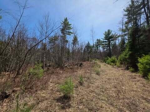 Lot 26-1 Old County Road West Paris ME 04289
