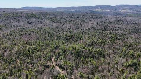 Lot 26-1 Old County Road West Paris ME 04289