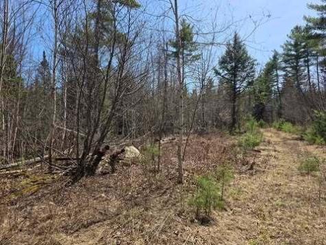 Lot 26-1 Old County Road West Paris ME 04289