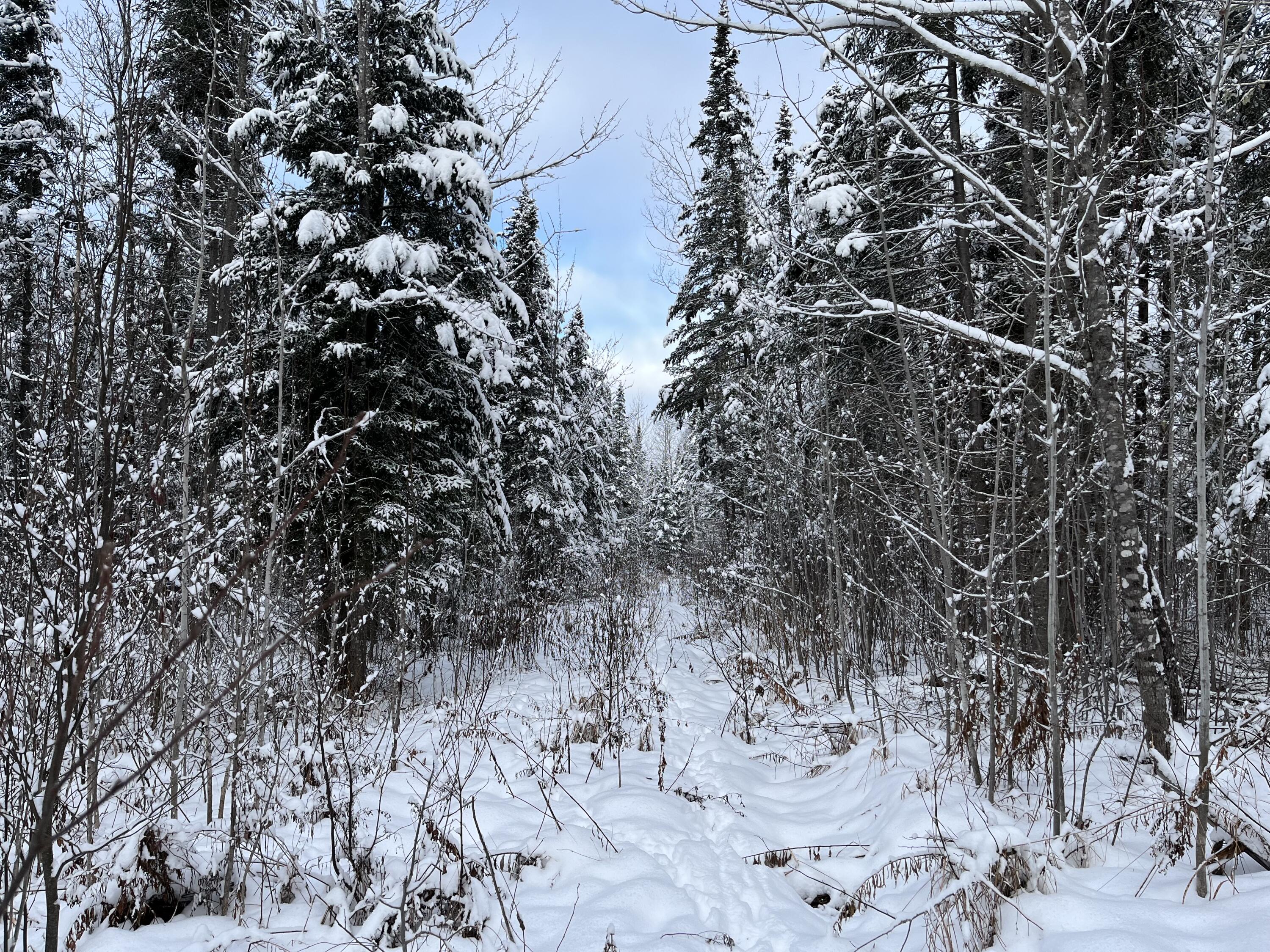 00 Frenchville Road Ashland ME 04732