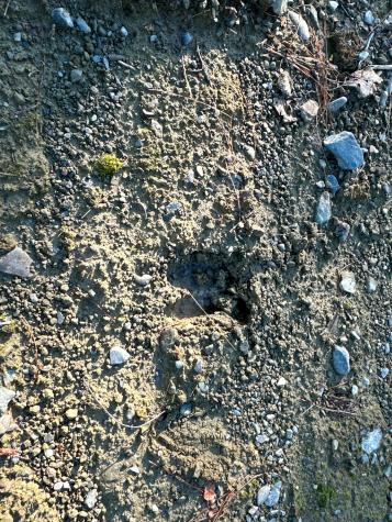 M7l4 Blaine Avenue Guilford ME 04443