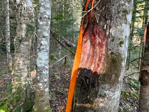 M7l4 Blaine Avenue Guilford ME 04443