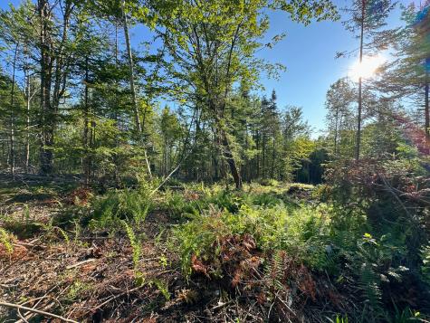 M7l4 Blaine Avenue Guilford ME 04443