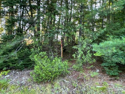 M7l4 Blaine Avenue Guilford ME 04443