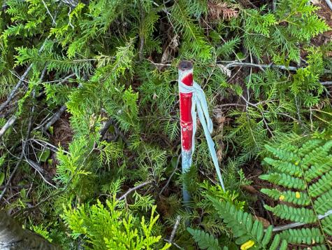 M7l4 Blaine Avenue Guilford ME 04443