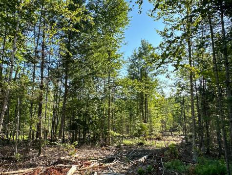 M7l4 Blaine Avenue Guilford ME 04443