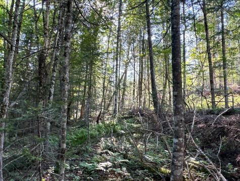 M7l4 Blaine Avenue Guilford ME 04443