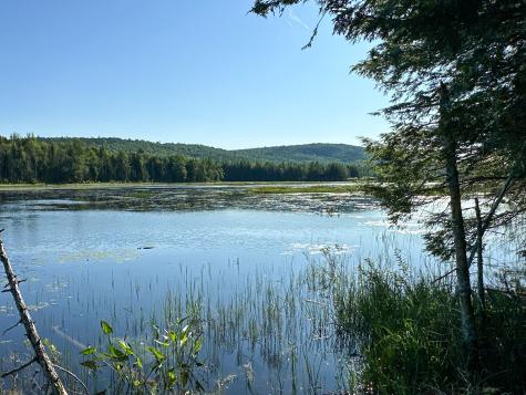 M7l4 Blaine Avenue Guilford ME 04443