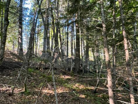 M7l4 Blaine Avenue Guilford ME 04443