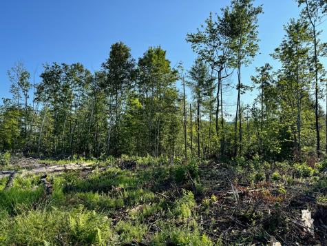 M7l4 Blaine Avenue Guilford ME 04443