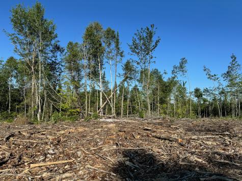 M7l4 Blaine Avenue Guilford ME 04443