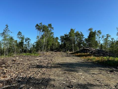 M7l4 Blaine Avenue Guilford ME 04443