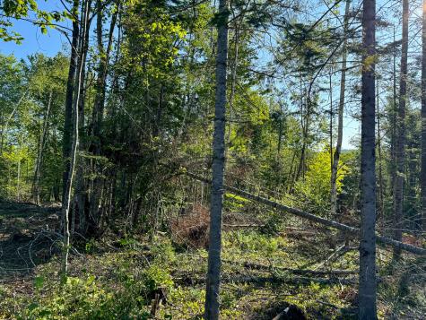 M7l4 Blaine Avenue Guilford ME 04443