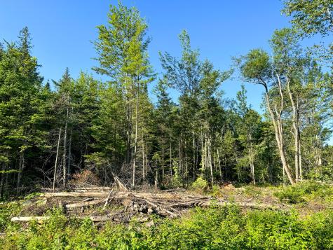 M7l4 Blaine Avenue Guilford ME 04443