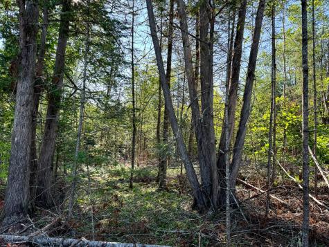 M7l4 Blaine Avenue Guilford ME 04443