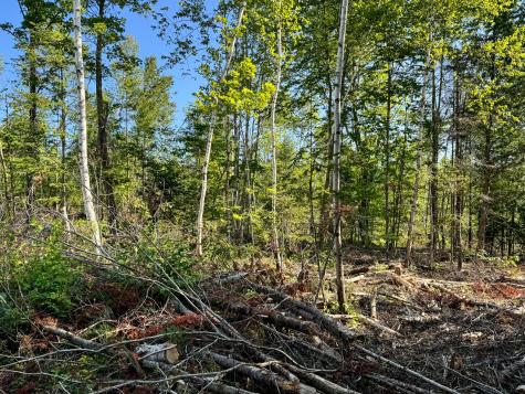 M7l4 Blaine Avenue Guilford ME 04443