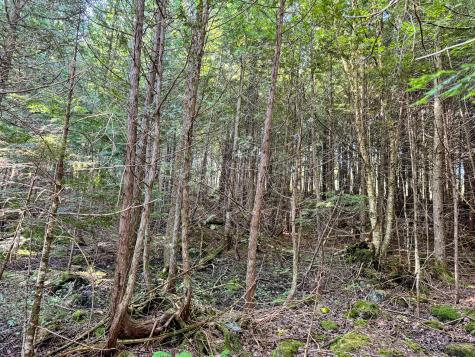 M7l4 Blaine Avenue Guilford ME 04443