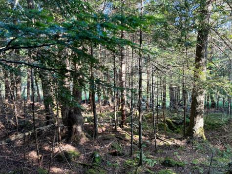 M7l4 Blaine Avenue Guilford ME 04443