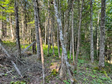 M7l4 Blaine Avenue Guilford ME 04443