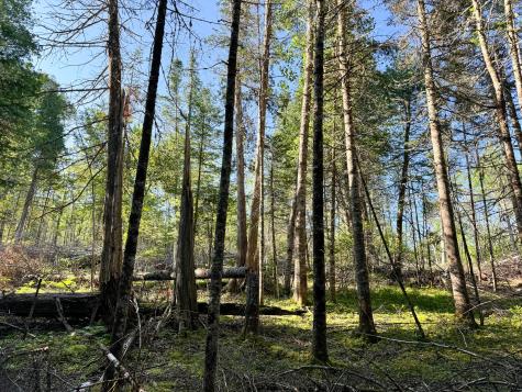 M7l4 Blaine Avenue Guilford ME 04443