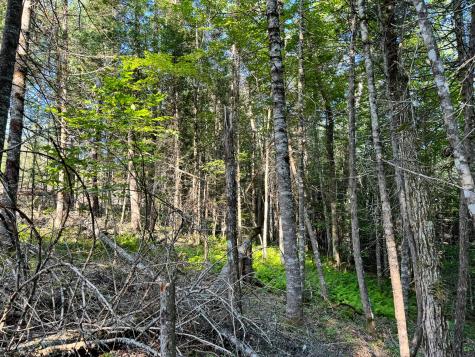 M7l4 Blaine Avenue Guilford ME 04443