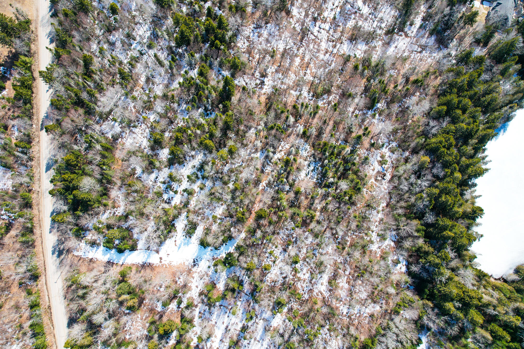 M19 L13-c Halls Mills Road Whiting ME 04691