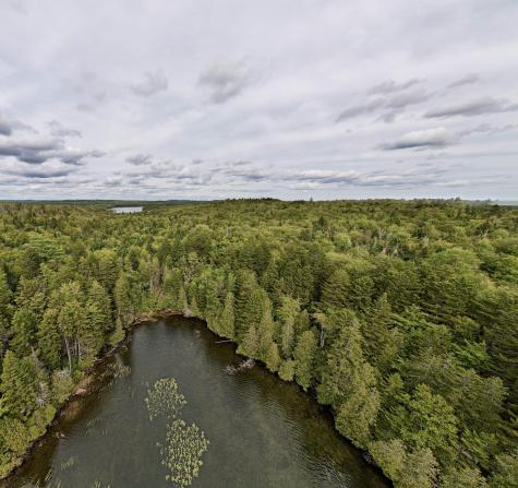 M19 L13-c Halls Mills Road Whiting ME 04691