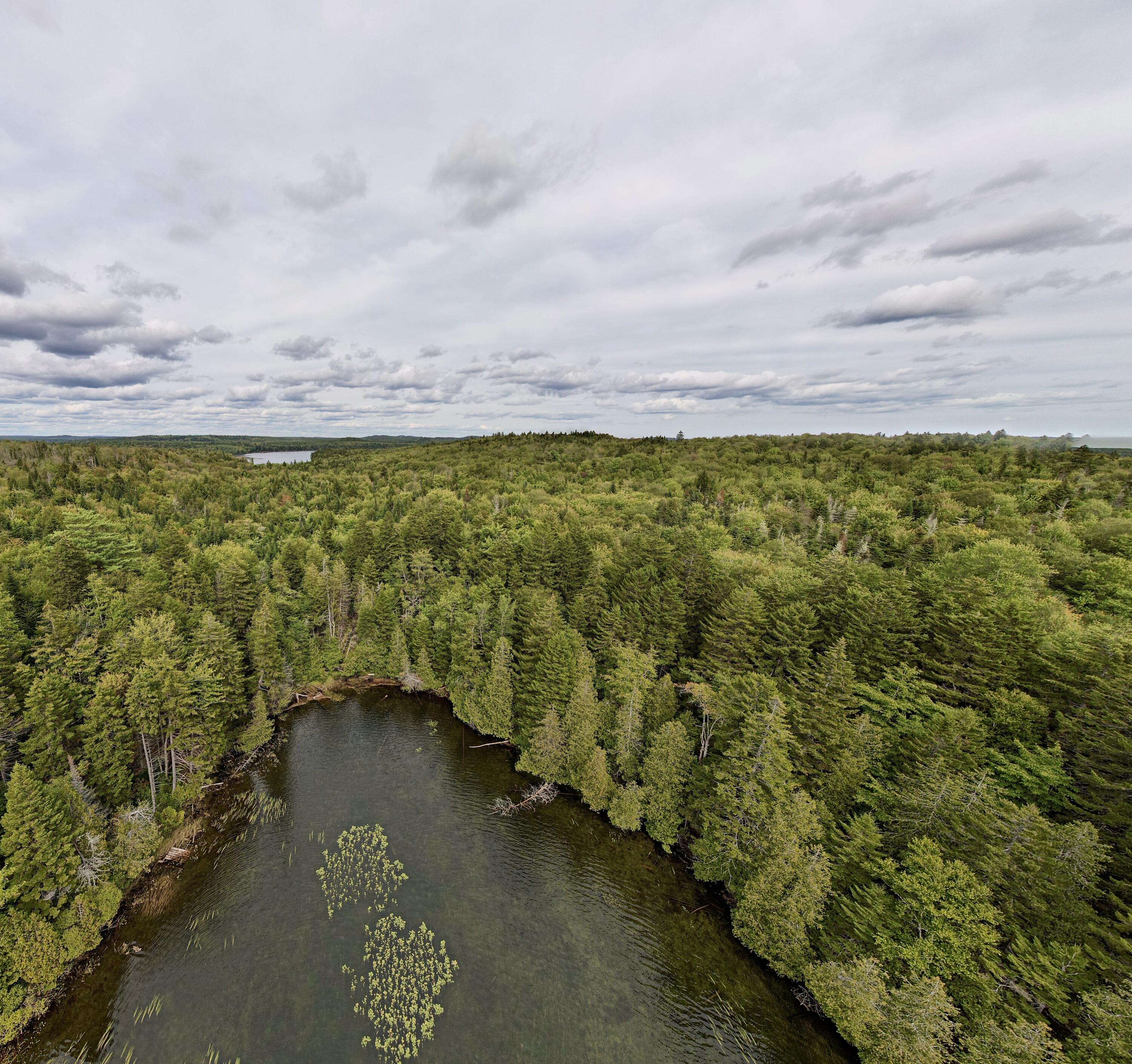 M19 L13-c Halls Mills Road Whiting ME 04691