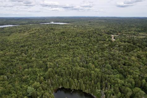 M19 L13-c Halls Mills Road Whiting ME 04691