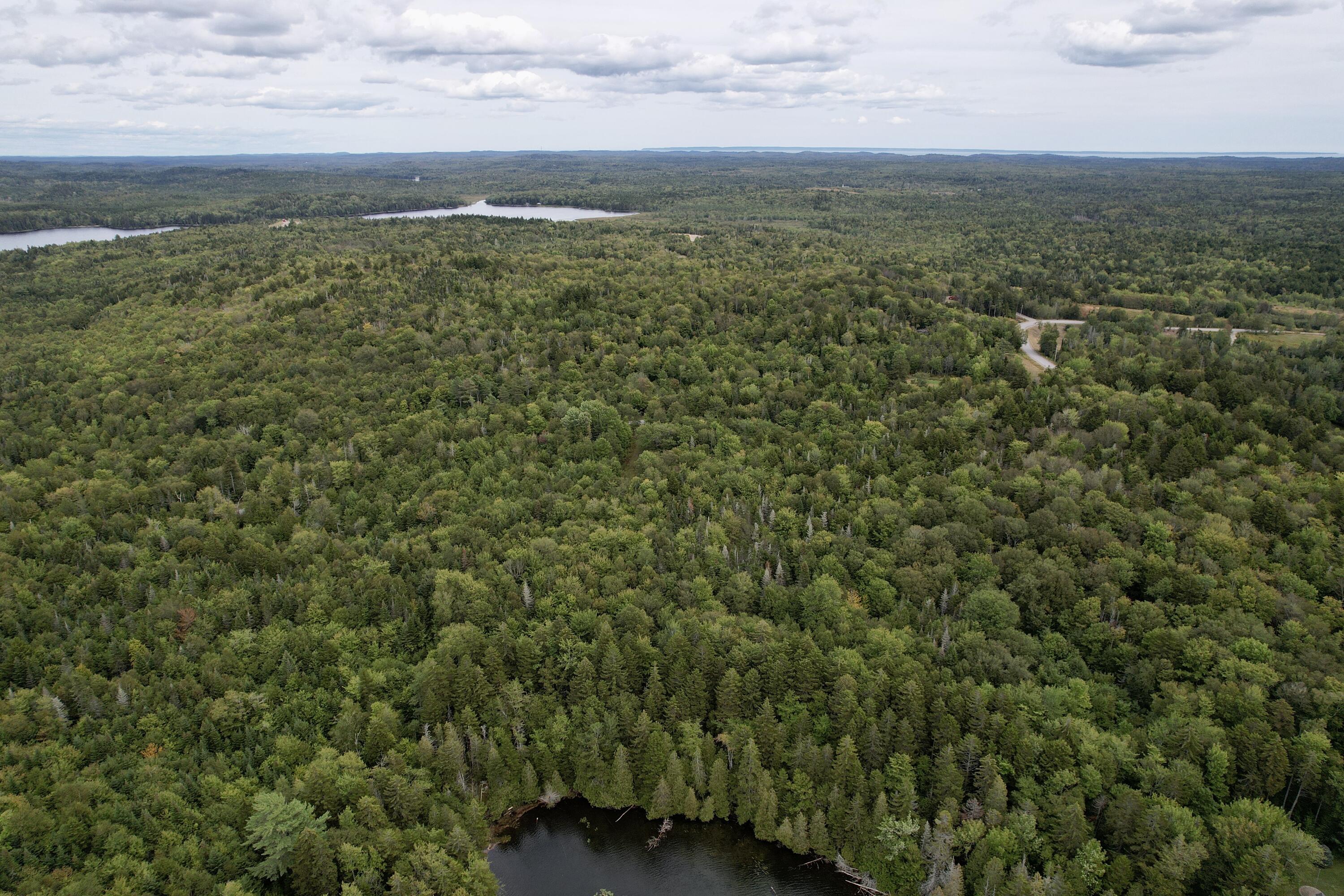 M19 L13-c Halls Mills Road Whiting ME 04691